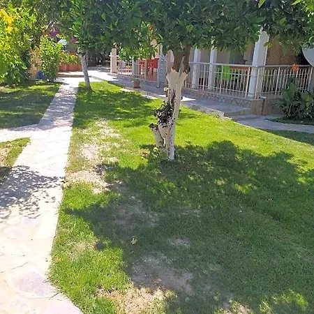 Bucak Gocek & Hotel Fethiye